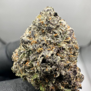 Buy Bruce Banner #3 Strain Online