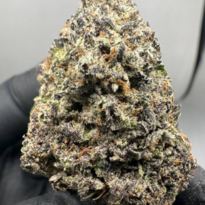 Buy Blueberry Kush strain