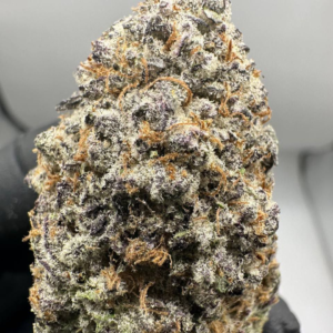 Buy Black Mamba strain