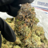 Buy Apple Fritter Strain Online